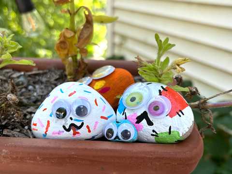 Rock buddies